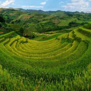 Ha Giang To Mu Cang Chai By Private Car - Culture Pham Travel