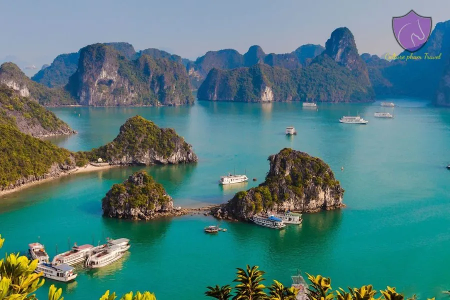 Ha Giang To Halong Bay Private Car - Culture Pham Travel