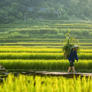 Ha Giang To Pu Luong By Car Transfer - Culture Pham Travel