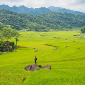 Private Car From Ha Giang To Pu Luong Transfer - Culture Pham Travel