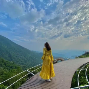 Halong Bay To Tam Dao Car Transfer - Culture Pham Travel
