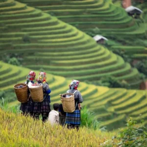 Pu Luong To Mai Chau By Private Car Rental - Culture Pham Travel