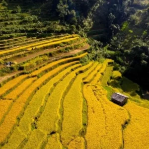 Sapa to Cao Bang By Private Car - Culture Pham Travel