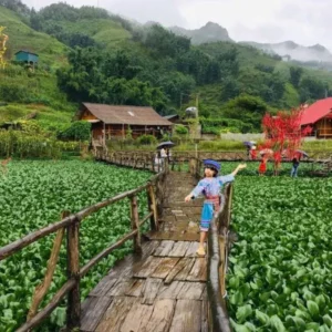 Hai Phong To Sapa Private Car - Culture Pham Travel