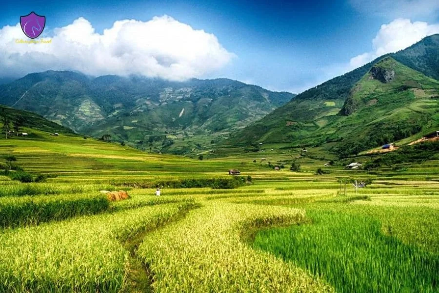 private car Mai Chau to Nghia Lo Town - Culture Pham Travel