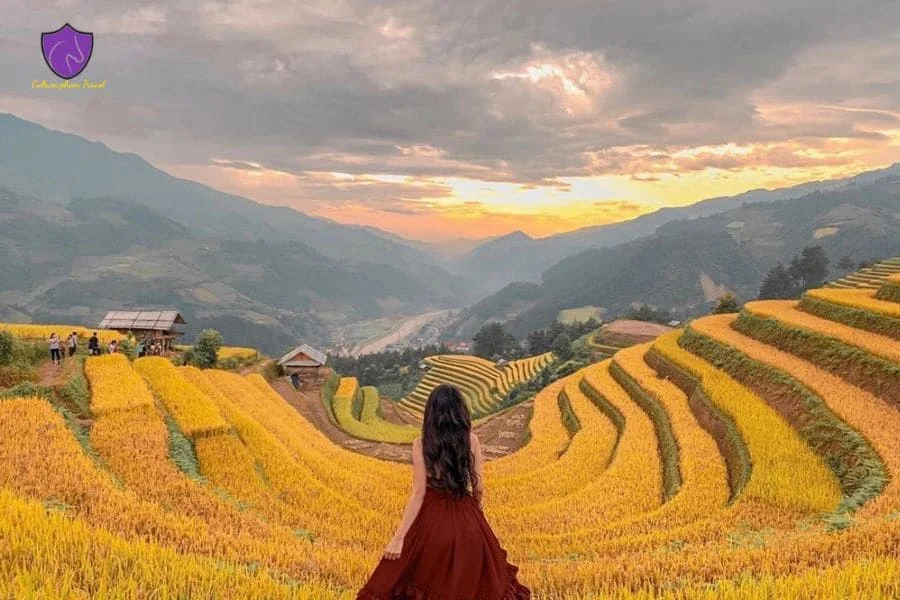private car Mai Chau to Nghia Lo Town - Culture Pham Travel
