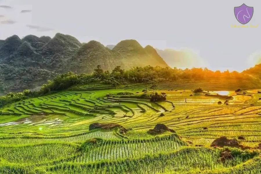 Mai Chau To Pu Luong By Private Car Rental - Culture Pham Travel