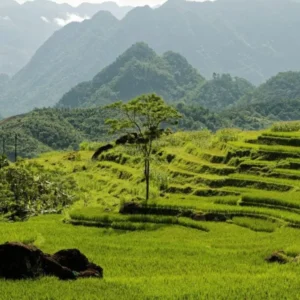 Mai Chau To Pu Luong Private Car Rental - Culture Pham Travel