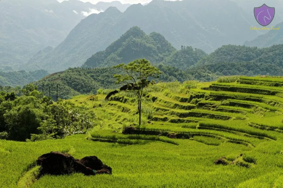 Mai Chau To Pu Luong Private Car Rental - Culture Pham Travel