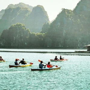 Ha Giang to Cat Ba island private car - Culture Pham Travel