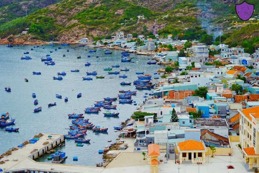 Mui Ne To Quy Nhon By Car Transfer - Culture Pham Travel
