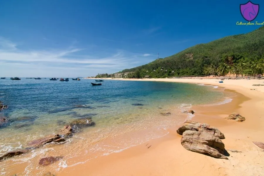 Mui Ne To Quy Nhon By Car Transfer - Culture Pham Travel
