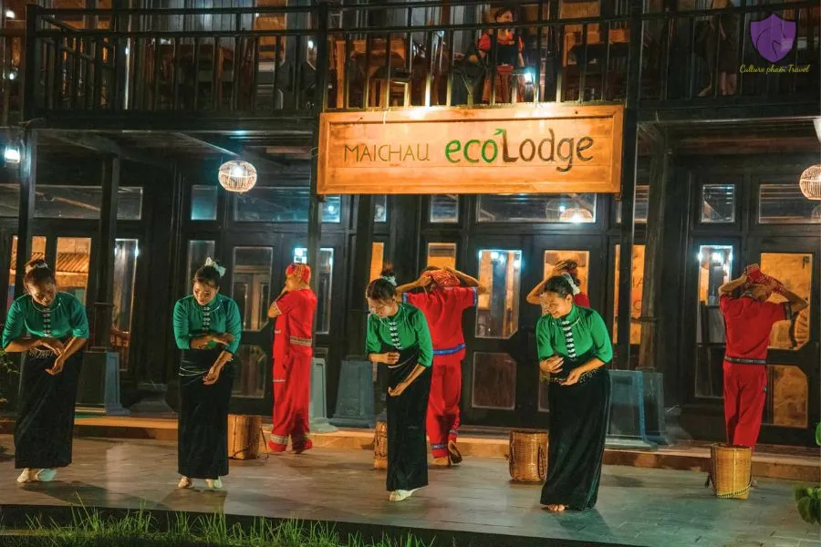 Watch A Traditional Dance & Music Performance - Culture Pham Travel