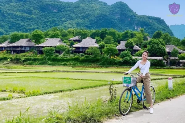 Mai Chau Valley - Culture Pham Travel