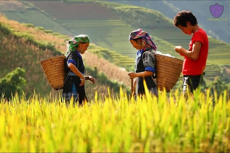 What Is Mai Chau Famous For? - Culture Pham Travel