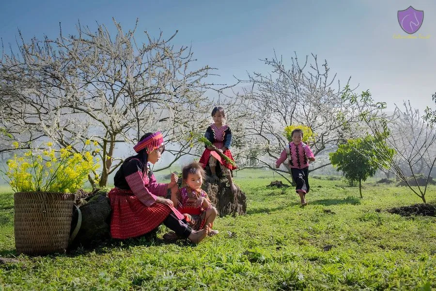 Spring In Mai Chau Valley - Culture Pham Travel