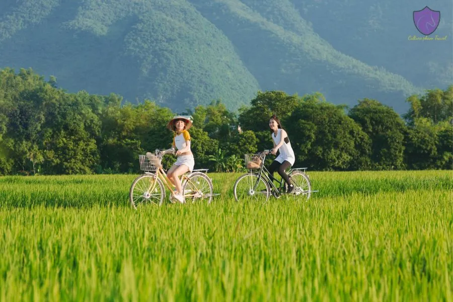 Cycle Through The Mai Chau Rice Fields - Culture Pham Travel