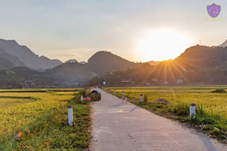 Summer In Mai Chau Valley - Culture Pham Travel