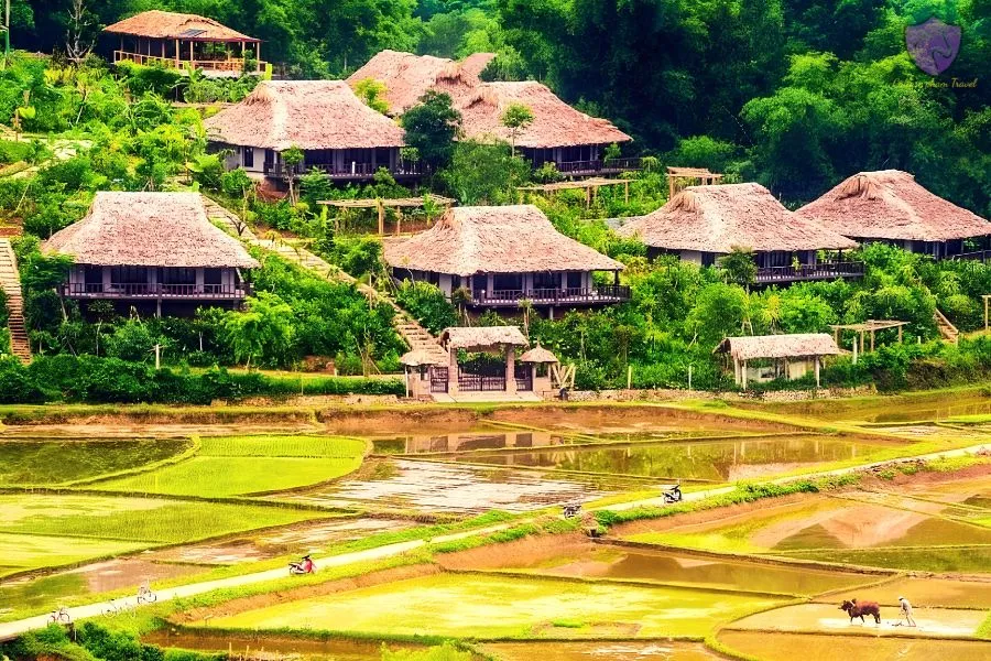 Where To Stay In Mai Chau? - Culture Pham Travel