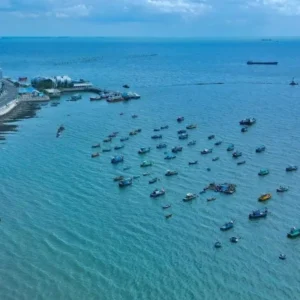 Mui Ne To Vung Tau By Car - Culture Pham Travel