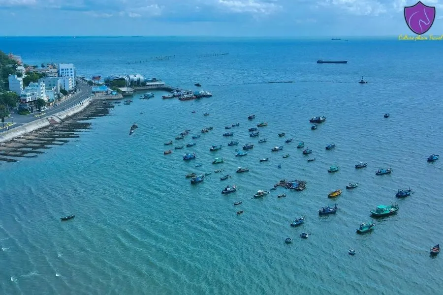 Mui Ne To Vung Tau By Car - Culture Pham Travel