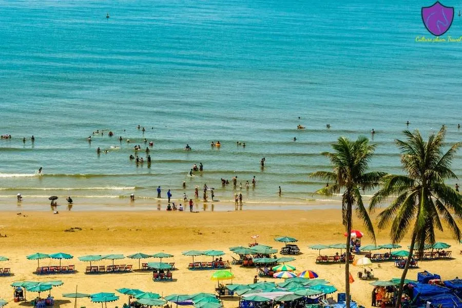 Mui Ne To Vung Tau By Private Car - Culture Pham Travel