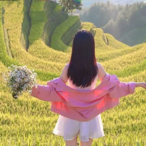 Cat Ba Island To Mu Cang Chai Private Car Rental - Culture Pham Travel