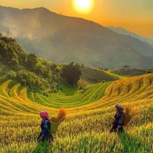 Private car Mai Chau to Hai Phong - Culture Pham Travel