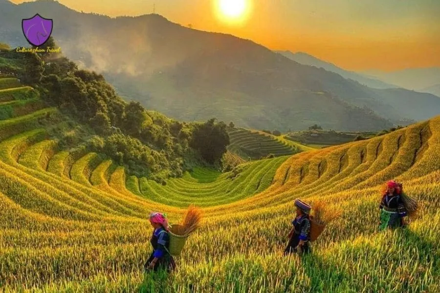 Private car Mai Chau to Hai Phong - Culture Pham Travel