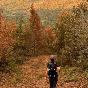 Trekking through Huong Hoa Forest